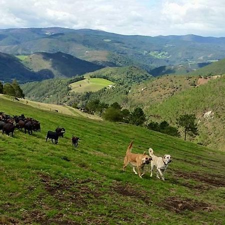 Hotel Rural Yeguada Albeitar Villayon Bagian luar foto