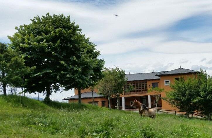 Hotel Rural Yeguada Albeitar Villayon Bagian luar foto