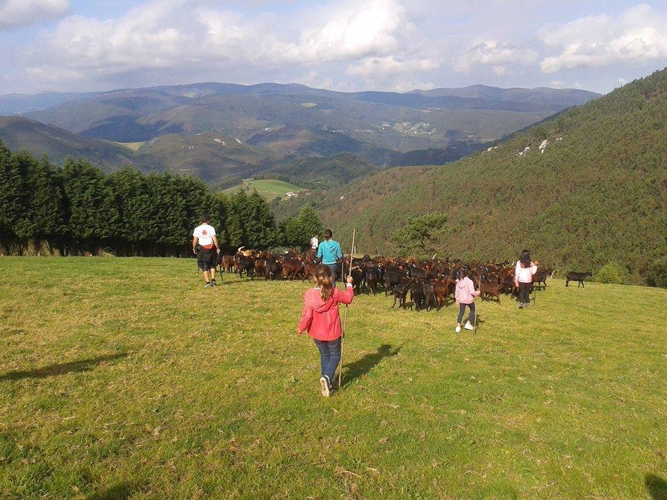 Hotel Rural Yeguada Albeitar Villayon Bagian luar foto