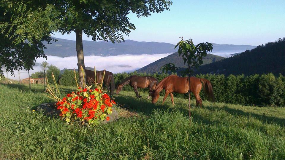 Hotel Rural Yeguada Albeitar Villayon Bagian luar foto