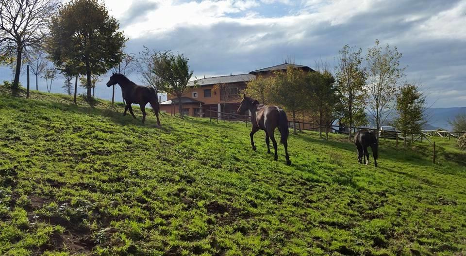 Hotel Rural Yeguada Albeitar Villayon Bagian luar foto
