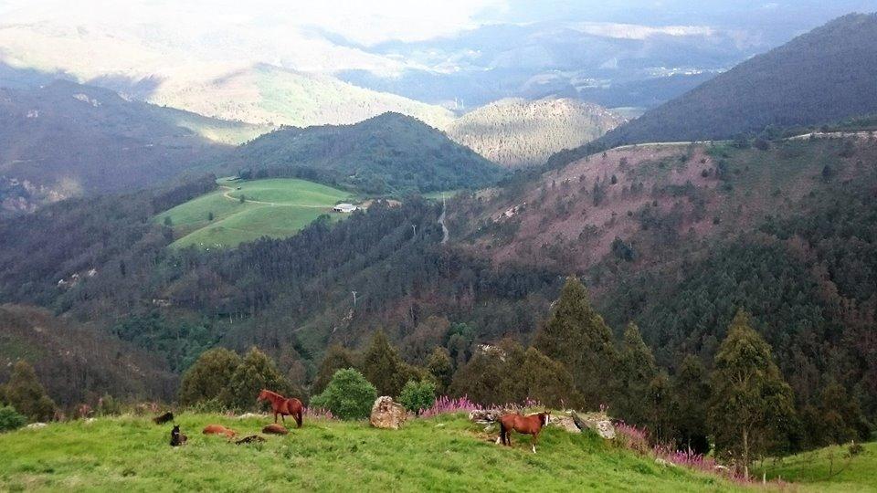 Hotel Rural Yeguada Albeitar Villayon Bagian luar foto